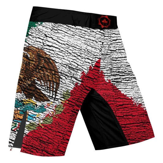 Mexico Flag Fight Shorts - BattleFitGear