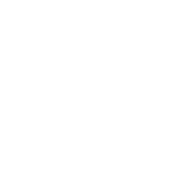unique design icon