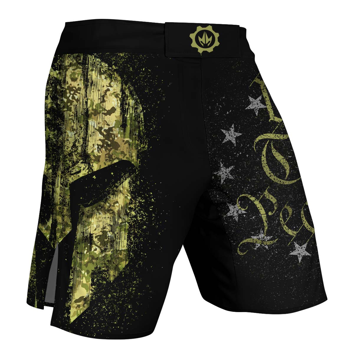 American Jiu Jitsu Grunge Fight Shorts