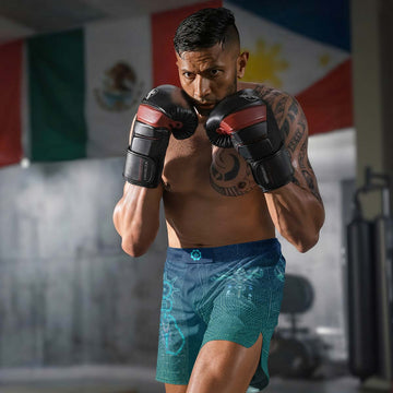 Celestial Warrior Armor Fight Shorts