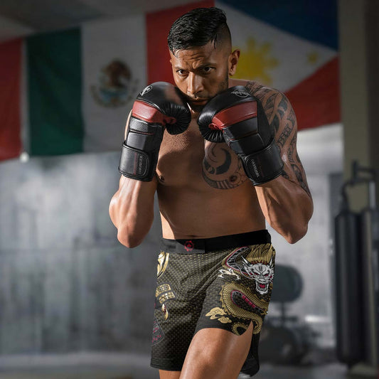 Dragon Shogun Fight Shorts