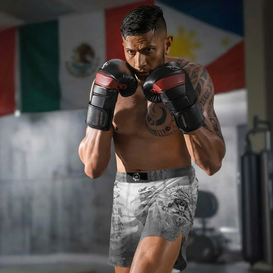 Egypt Mythology Sphinx Fight Shorts