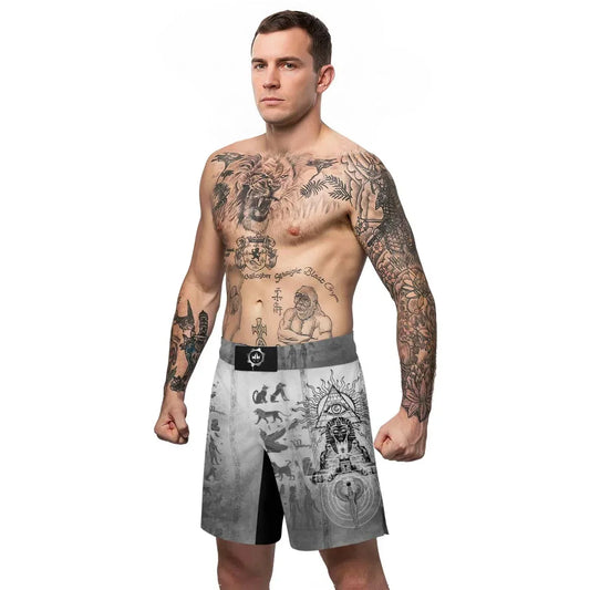 Egypt Mythology Sphinx Fight Shorts