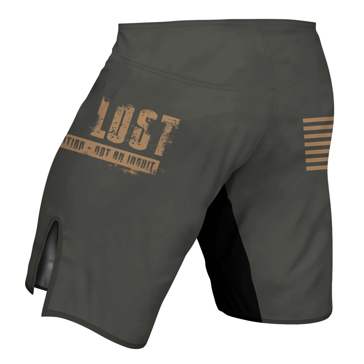 Get Lost Is A Destination Fight Shorts