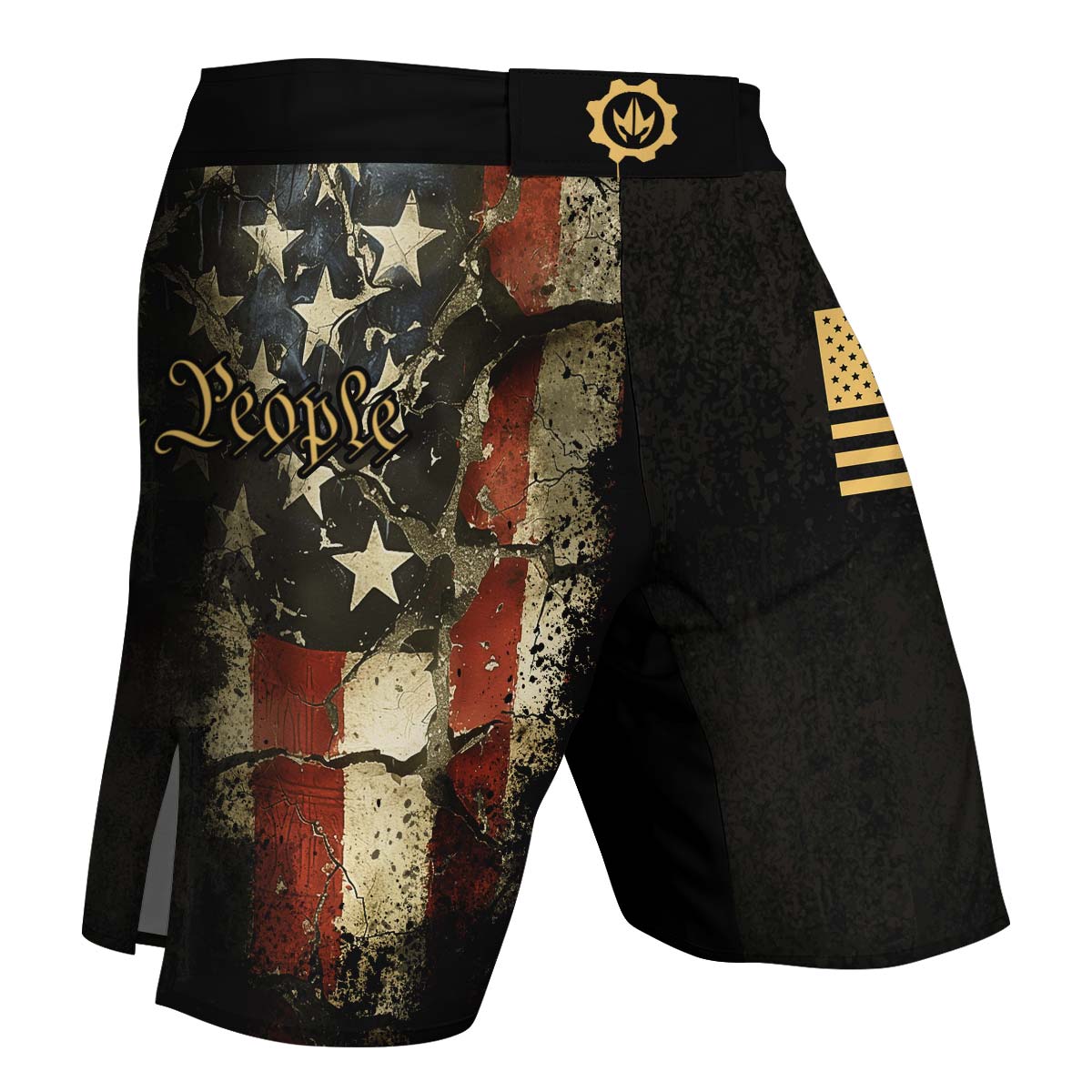 Iron Patriot Fight Shorts