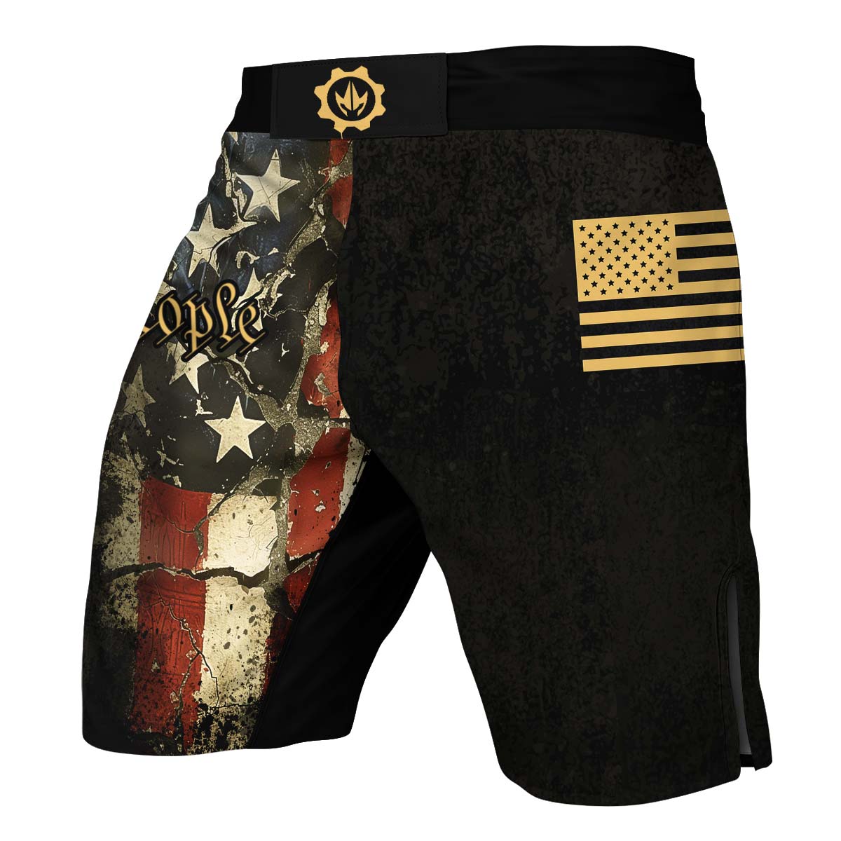 Iron Patriot Fight Shorts