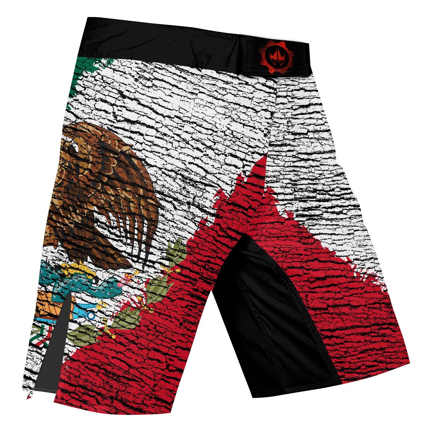 Mexico Flag Fight Shorts
