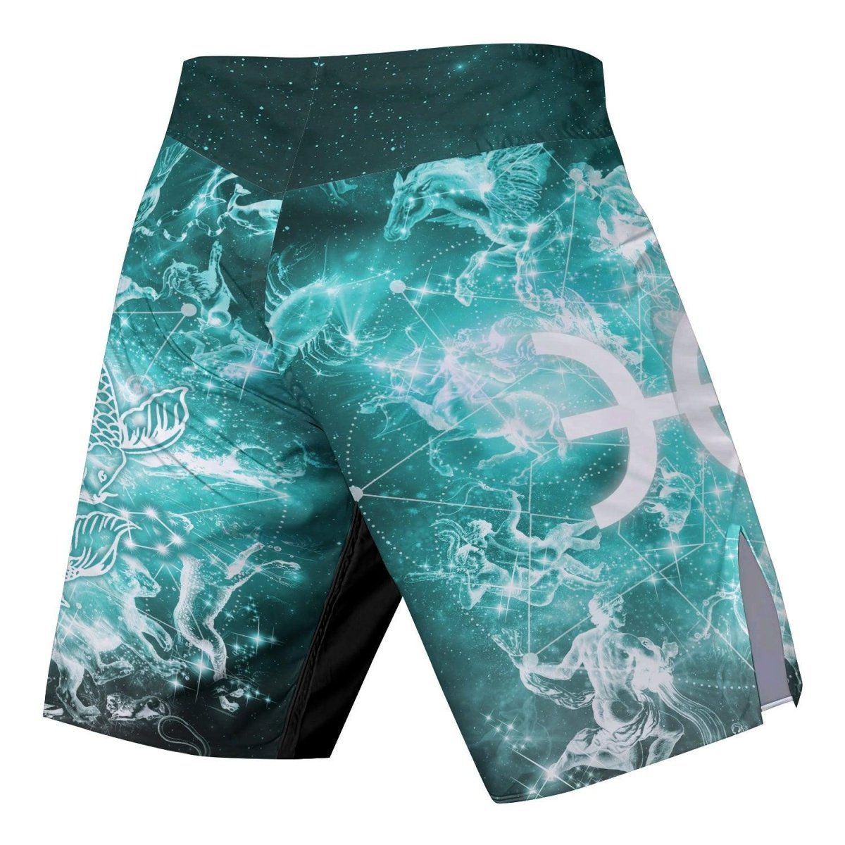 Zodiac Pisces Fight Shorts - BattleFitGear