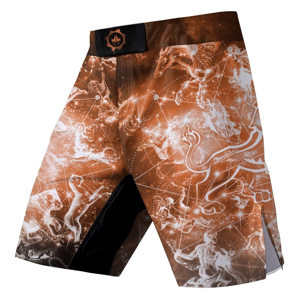 Zodiac Leo Fight Shorts - BattleFitGear