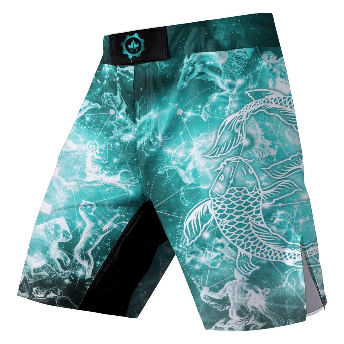 Zodiac Pisces Fight Shorts - BattleFitGear