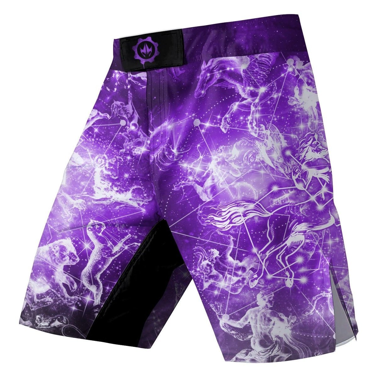 Zodiac Sagittarius Fight Shorts - BattleFitGear