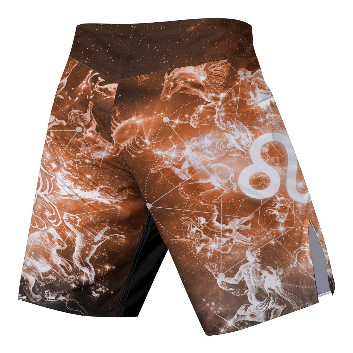 Zodiac Leo Fight Shorts - BattleFitGear