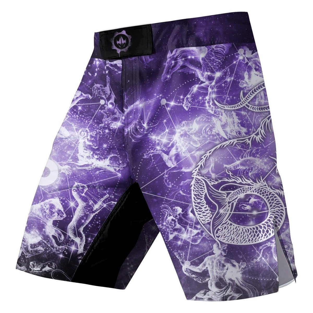 Zodiac Capricorn Fight Shorts - BattleFitGear