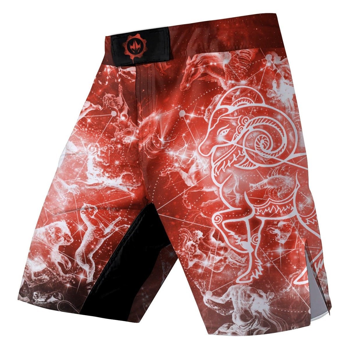 Zodiac Aries Fight Shorts - BattleFitGear