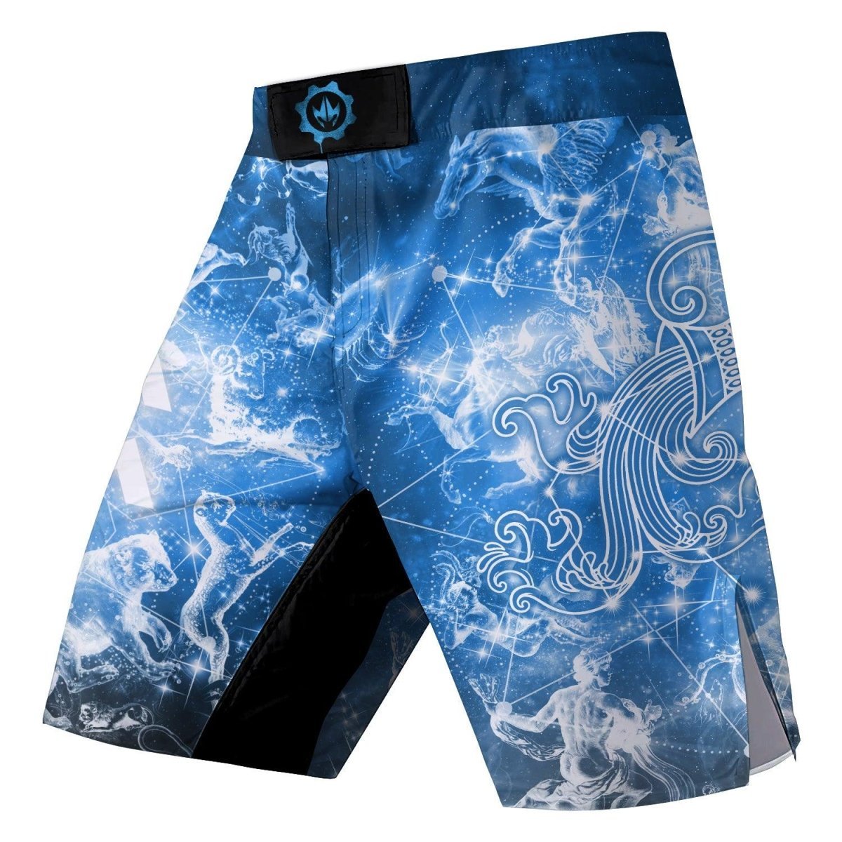 Zodiac Aquarius Fight Shorts - BattleFitGear