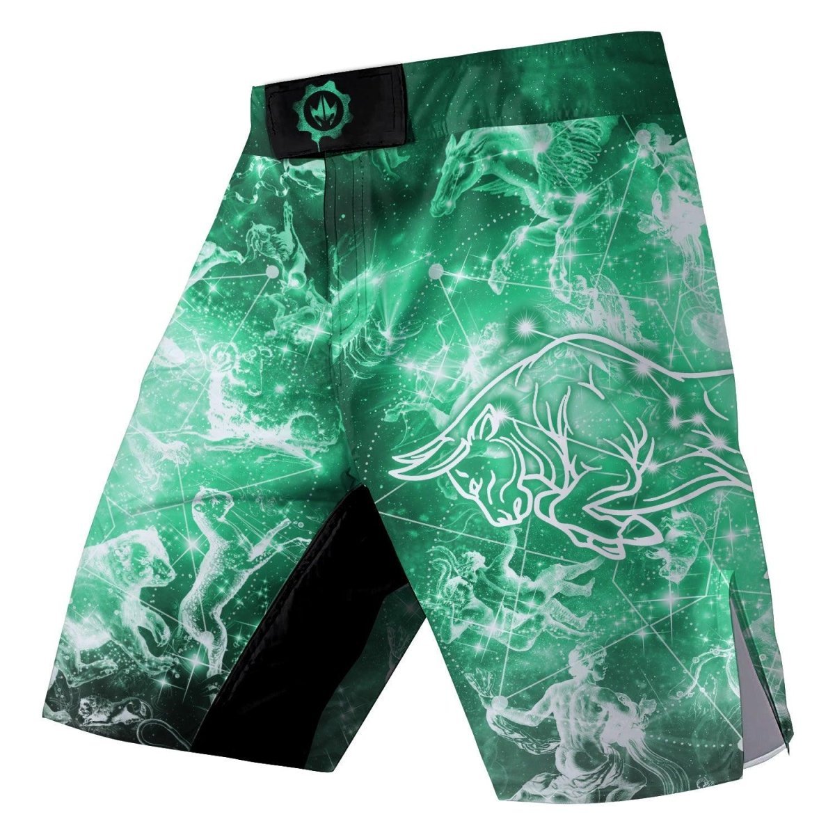 Zodiac Taurus Fight Shorts - BattleFitGear