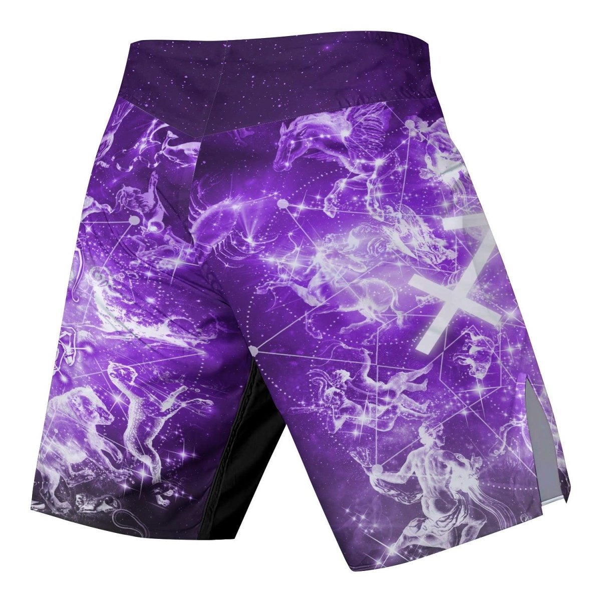 Zodiac Sagittarius Fight Shorts - BattleFitGear