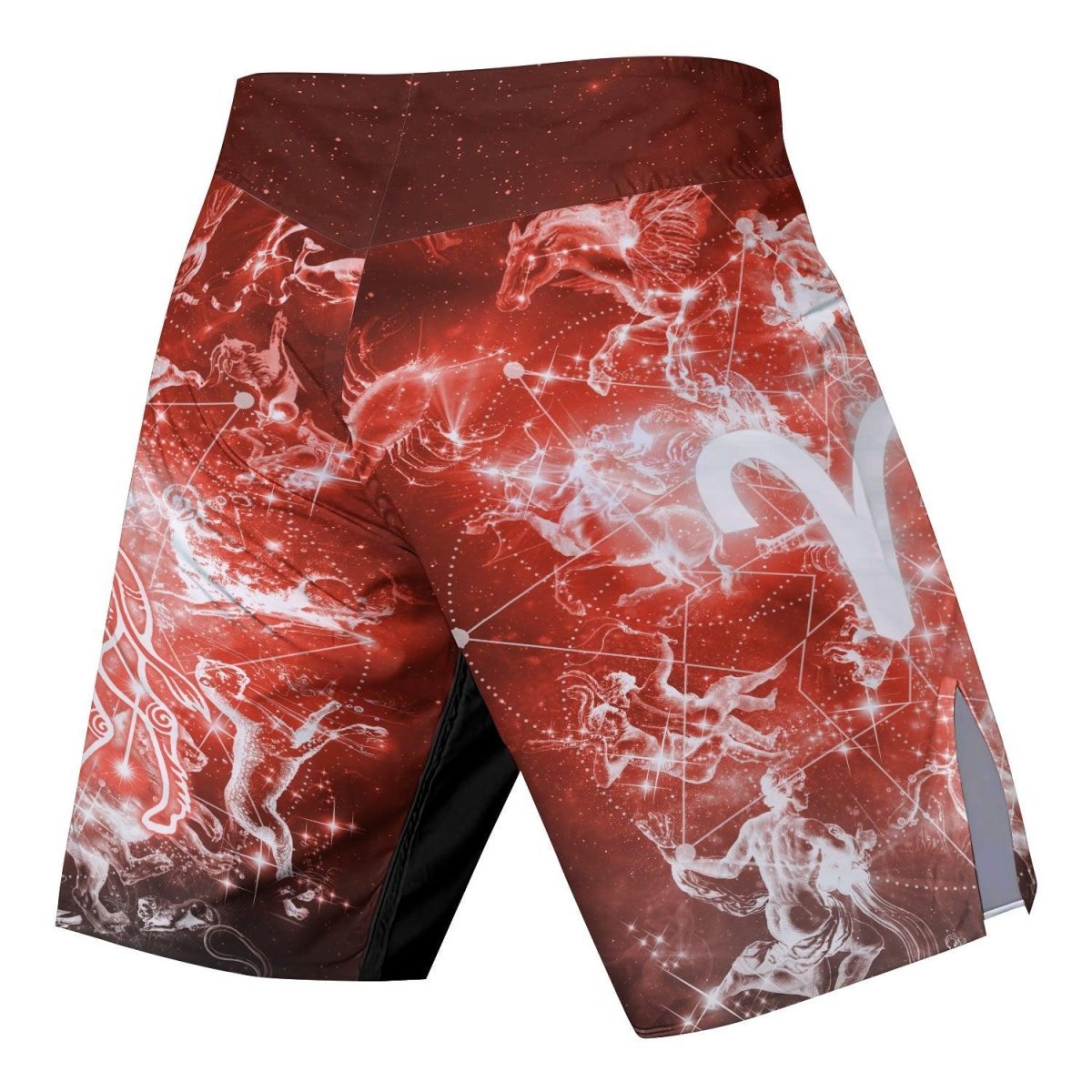 Zodiac Aries Fight Shorts - BattleFitGear