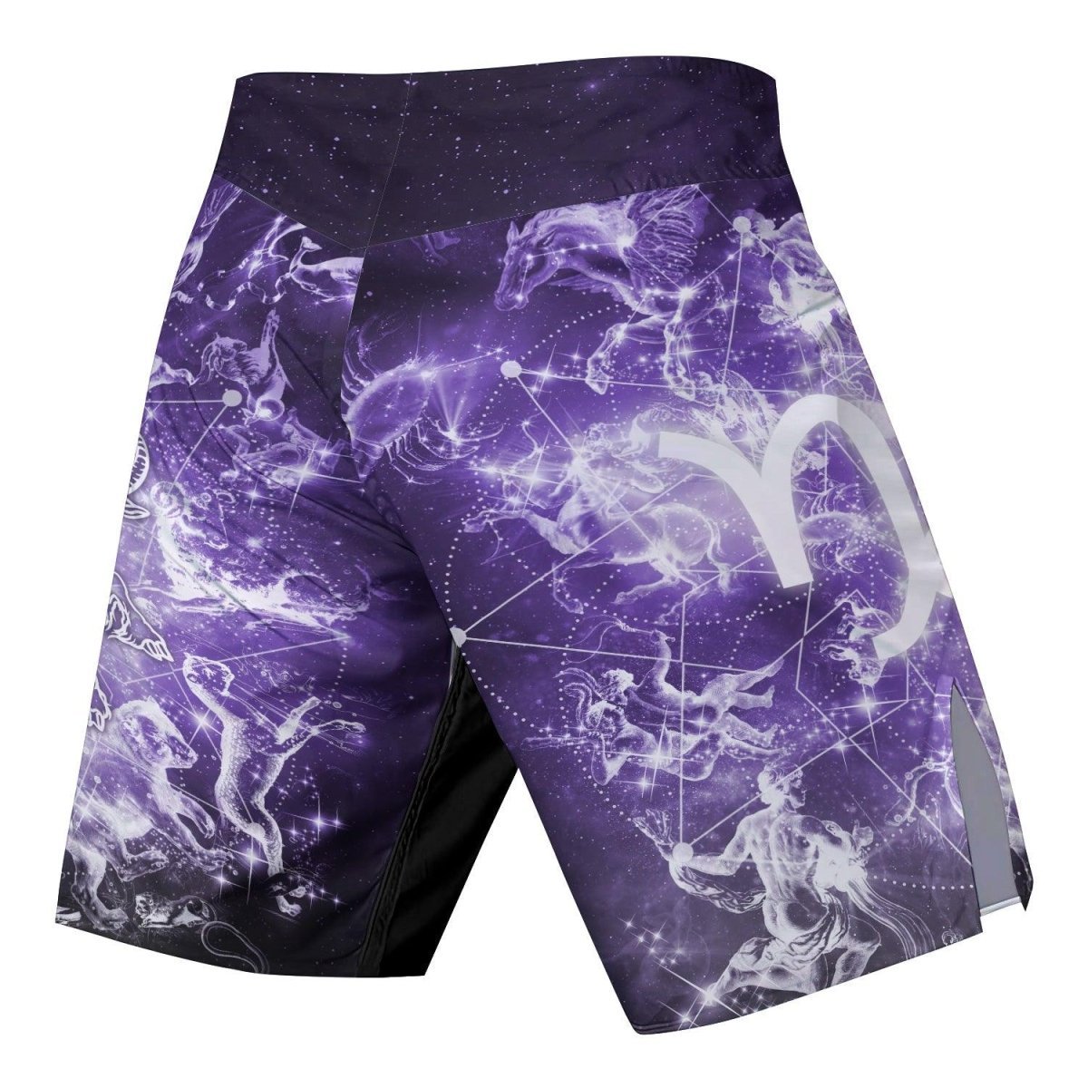 Zodiac Capricorn Fight Shorts - BattleFitGear