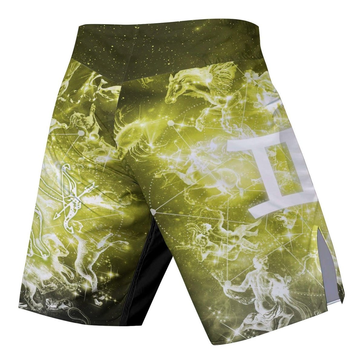 Zodiac Gemini Fight Shorts - BattleFitGear