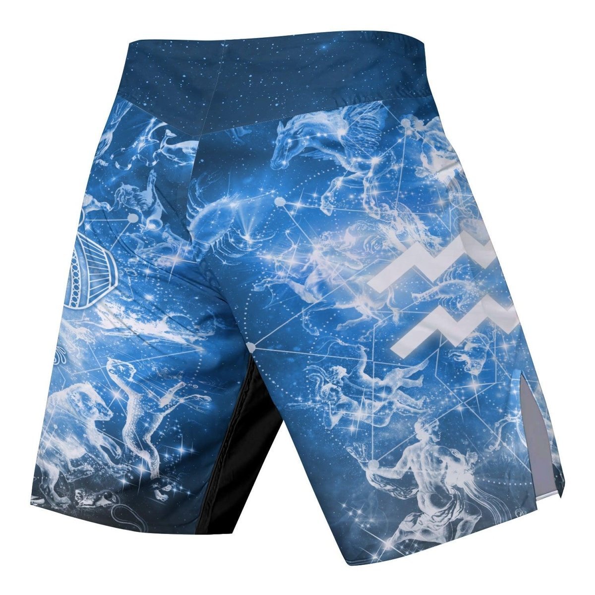 Zodiac Aquarius Fight Shorts - BattleFitGear