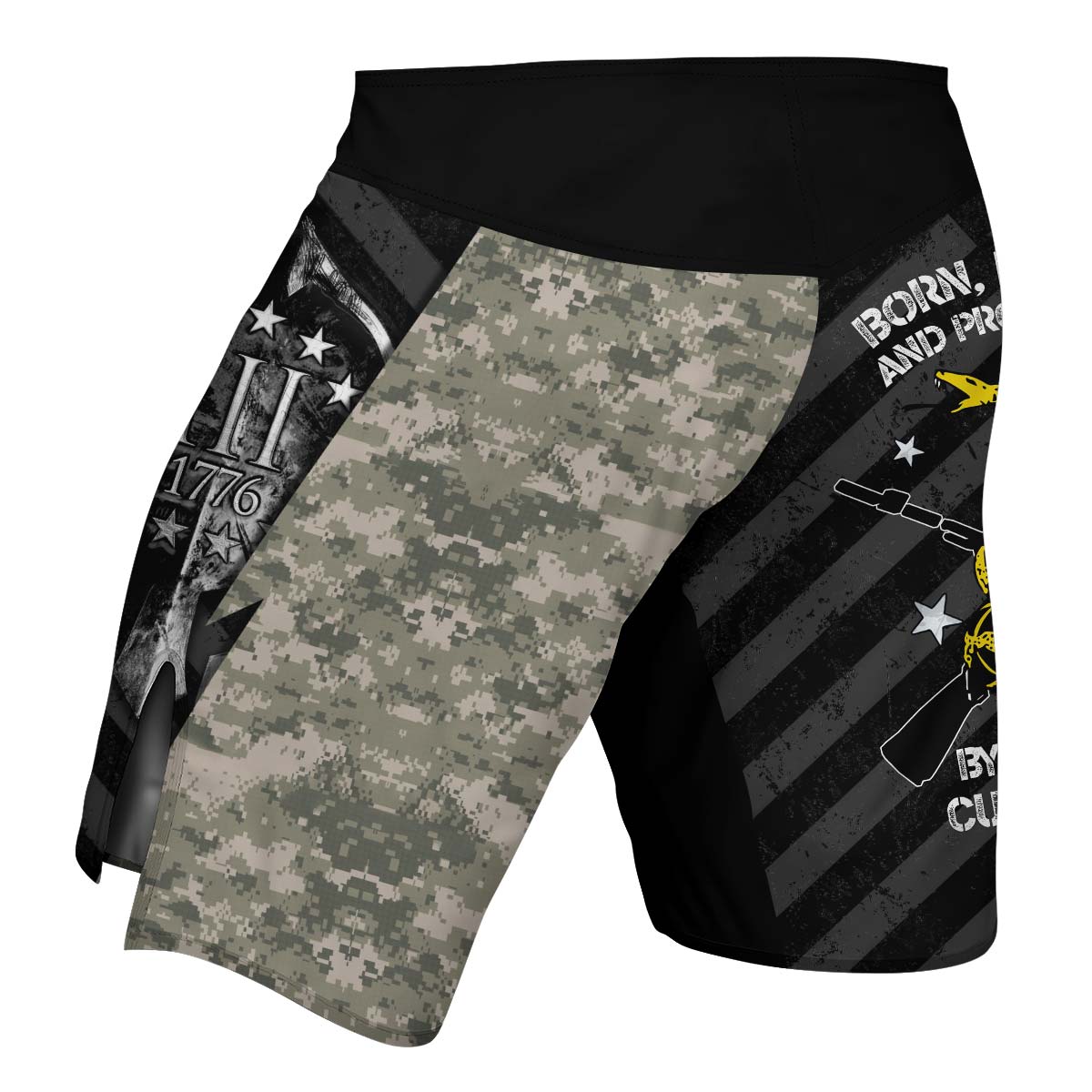 Spartan Army Fight Shorts