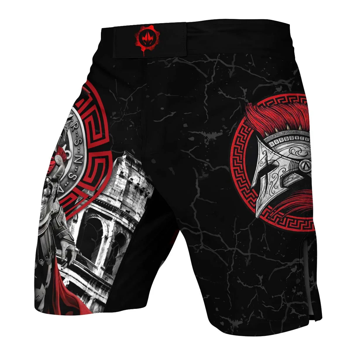 Spartan Warrior Fight Shorts