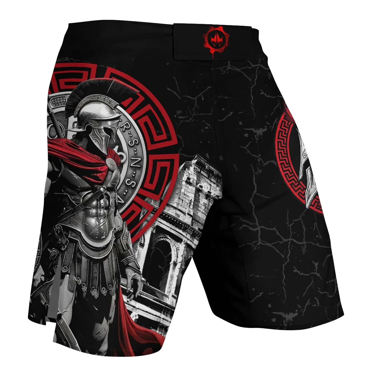 Spartan Warrior Fight Shorts