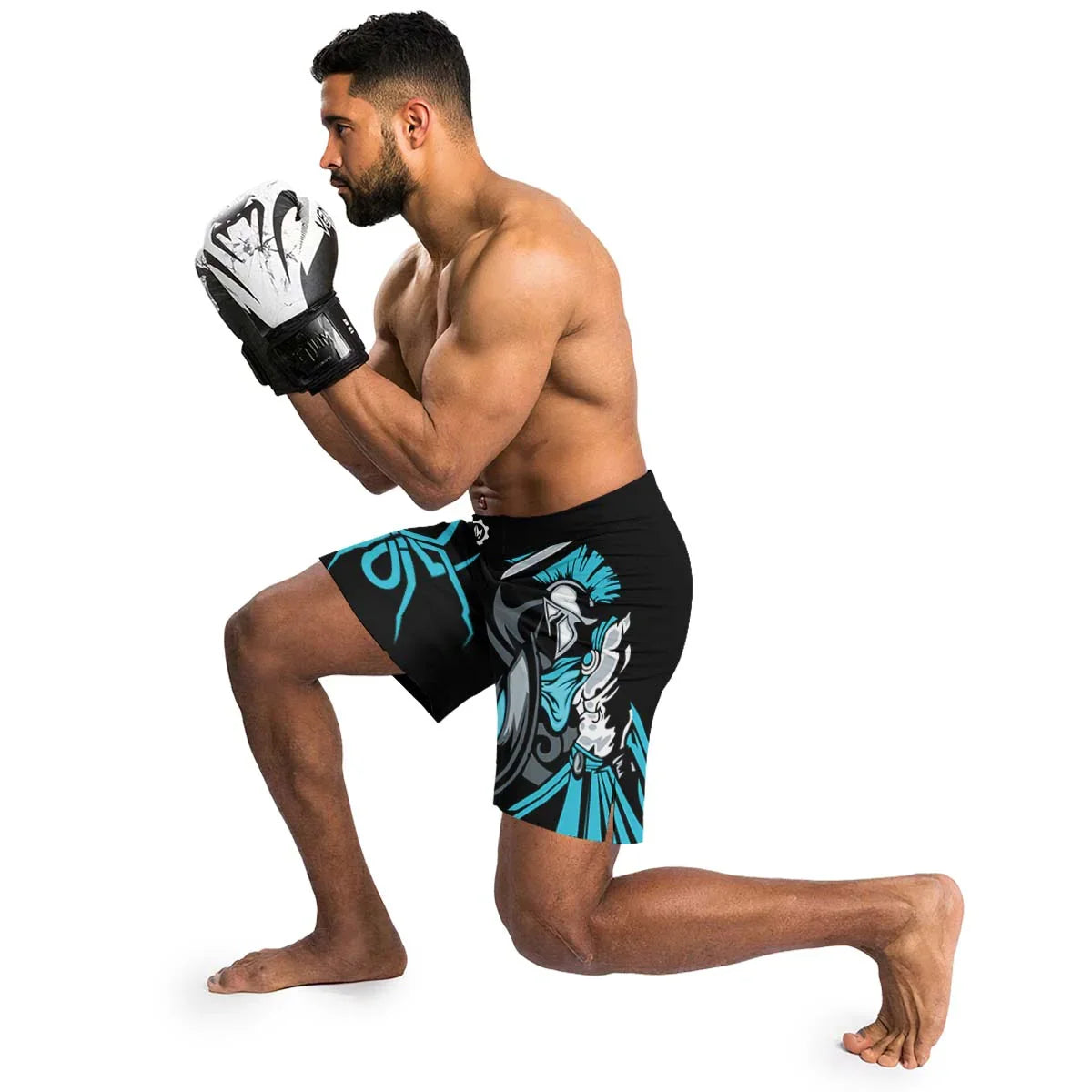 Spartan Warrior Spirit Fight Shorts