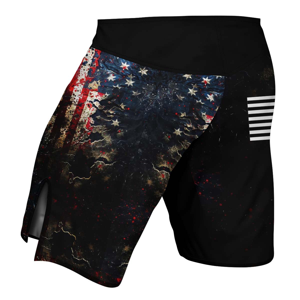 United States 1776 Fight Shorts