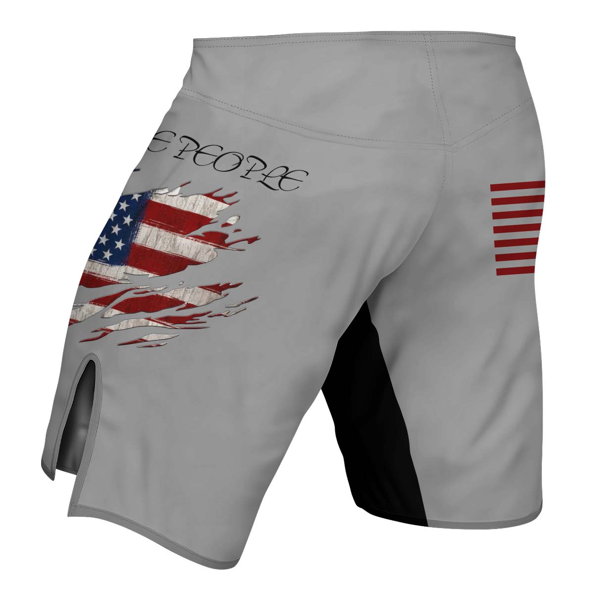 We The People Fight Shorts