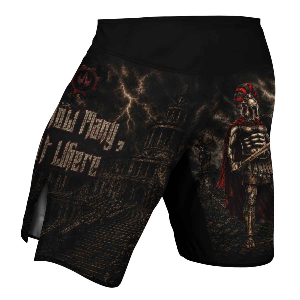 Spartan Leader Fight Shorts